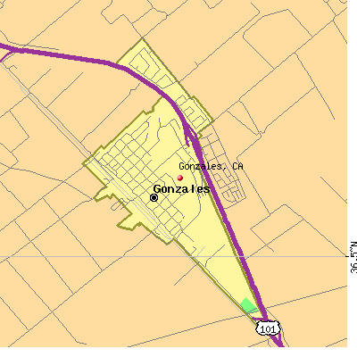 Gonzales map