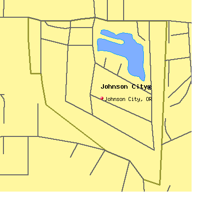 Johnson City map