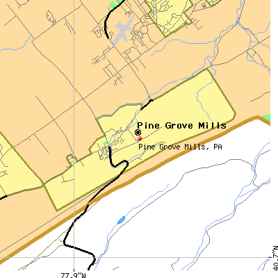 Pine Grove Mills map