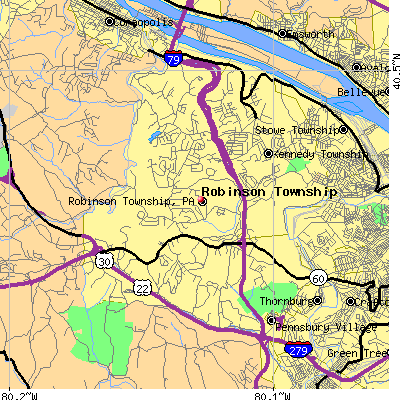 Robinson Township map