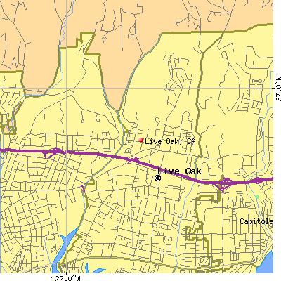 Live Oak map