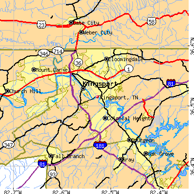 Kingsport map