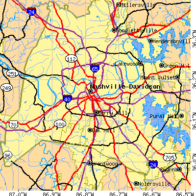 Nashville-Davidson map