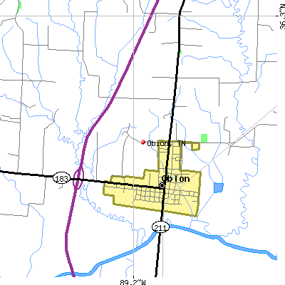 Obion map