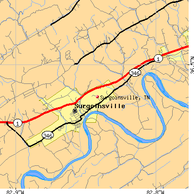 Surgoinsville map