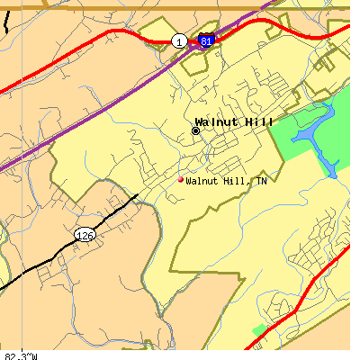 Walnut Hill map