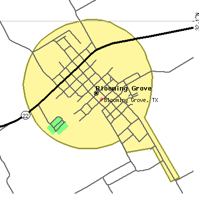 Blooming Grove map