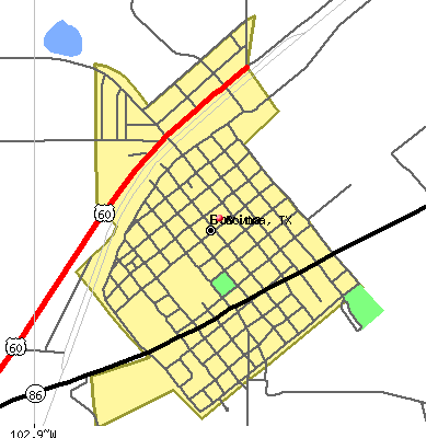 Bovina map