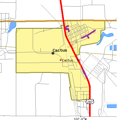 Cactus map