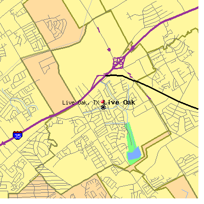 Live Oak map