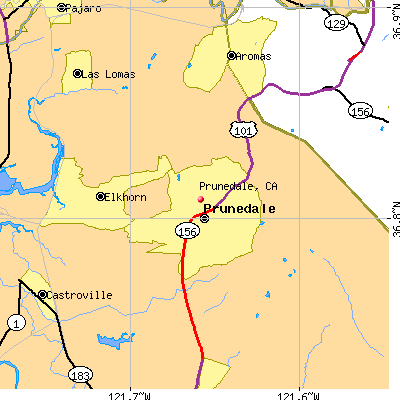 Prunedale map