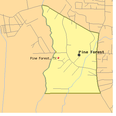 Pine Forest map