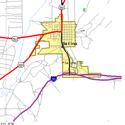 Salina map