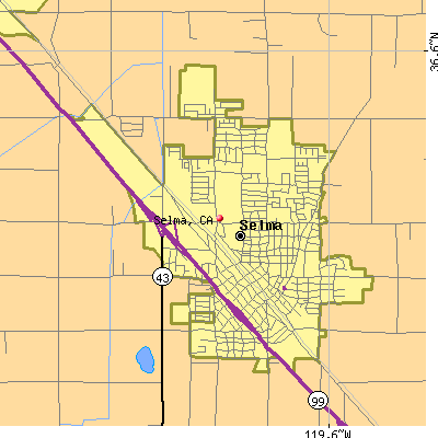 Selma map