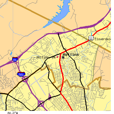 Hollins map