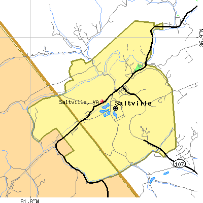 Saltville map