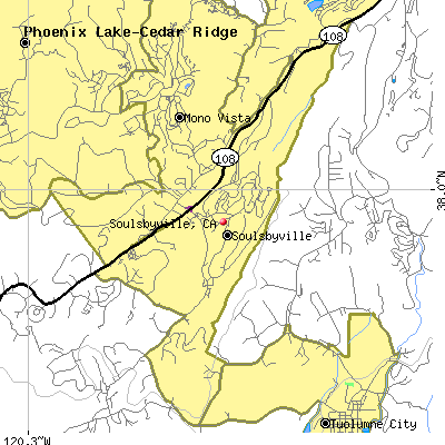 Soulsbyville map