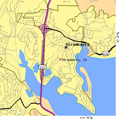 Strawberry map