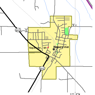 Napavine map