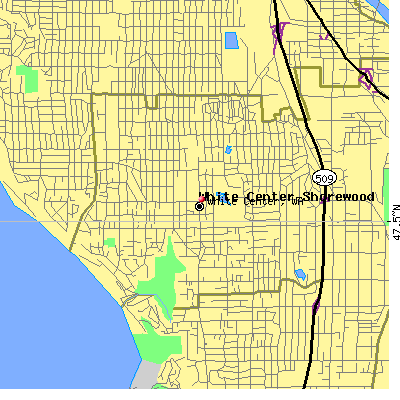 White Center map