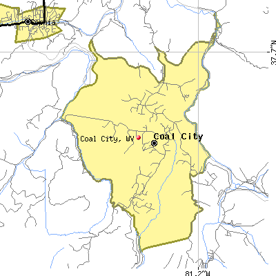 Coal City map
