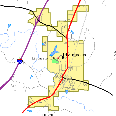 Livingston map