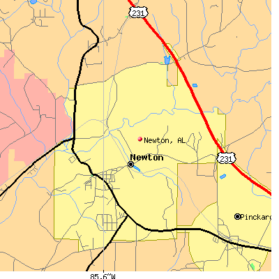 Newton map