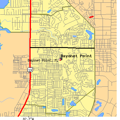 Bayonet Point map