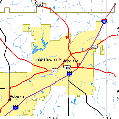 Opelika map