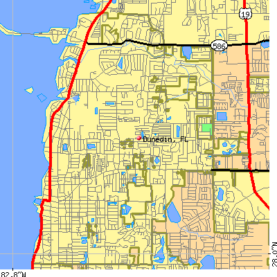 Dunedin map