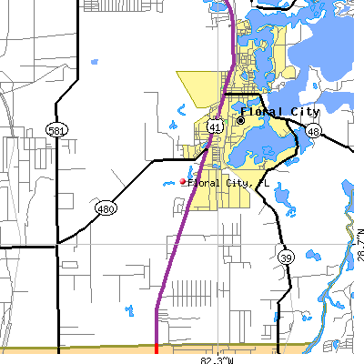 Floral City map