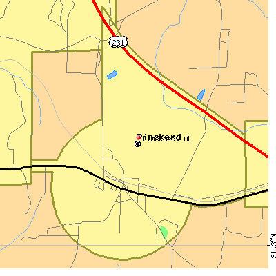 Pinckard map