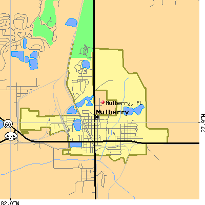 Mulberry map