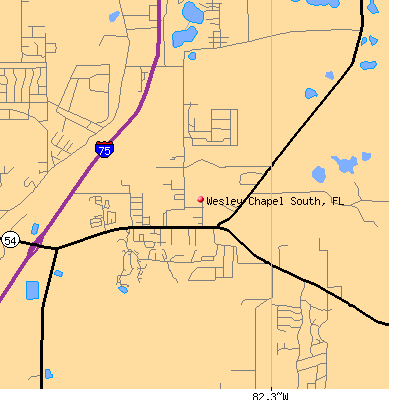 Wesley Chapel South map