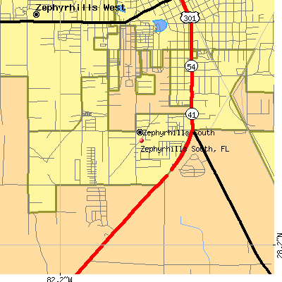 Zephyrhills South map