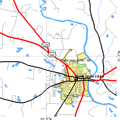 Hawkinsville map