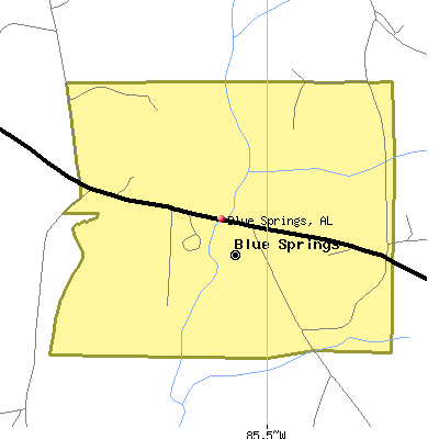 Blue Springs map