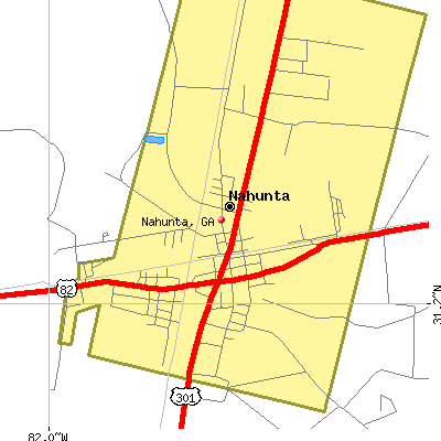 Nahunta map