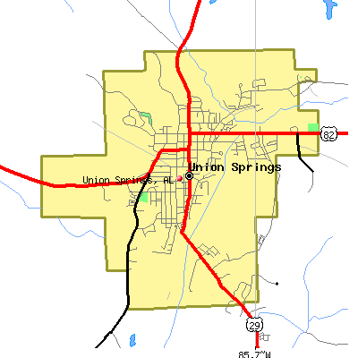 Union Springs map