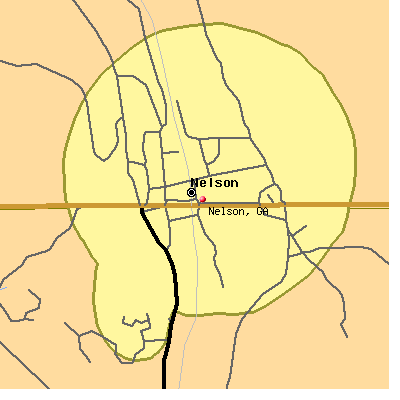 Nelson map