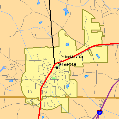 Palmetto map