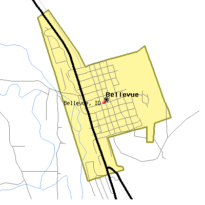 Bellevue map