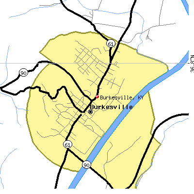 Burkesville map