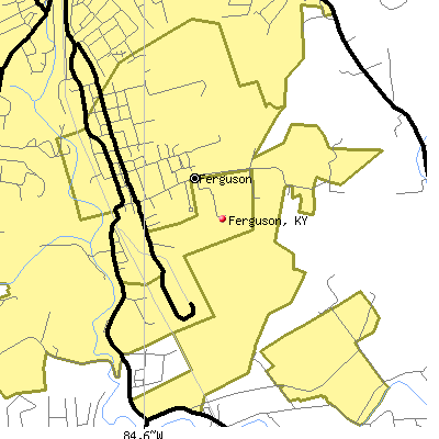 Ferguson map