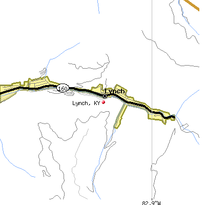 Lynch map