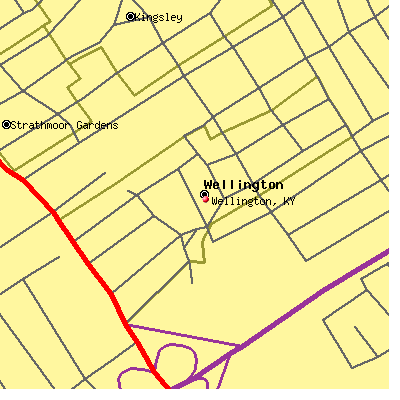 Wellington map