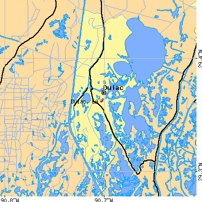 Dulac map