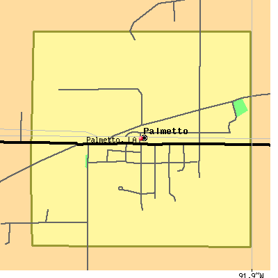 Palmetto map