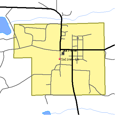 Saline map