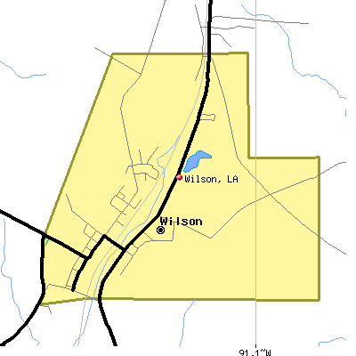 Wilson map